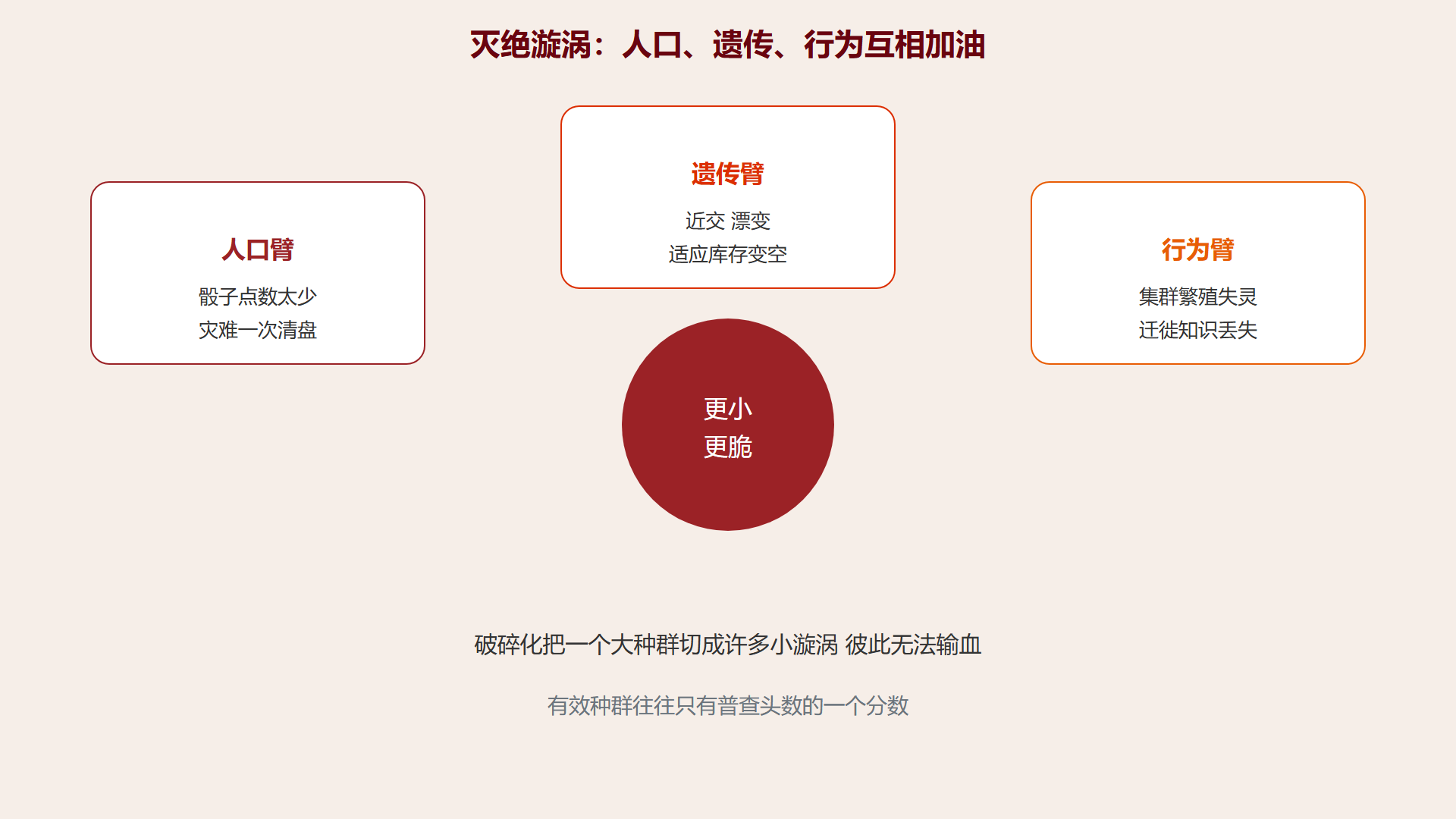 图 灭绝漩涡的三臂