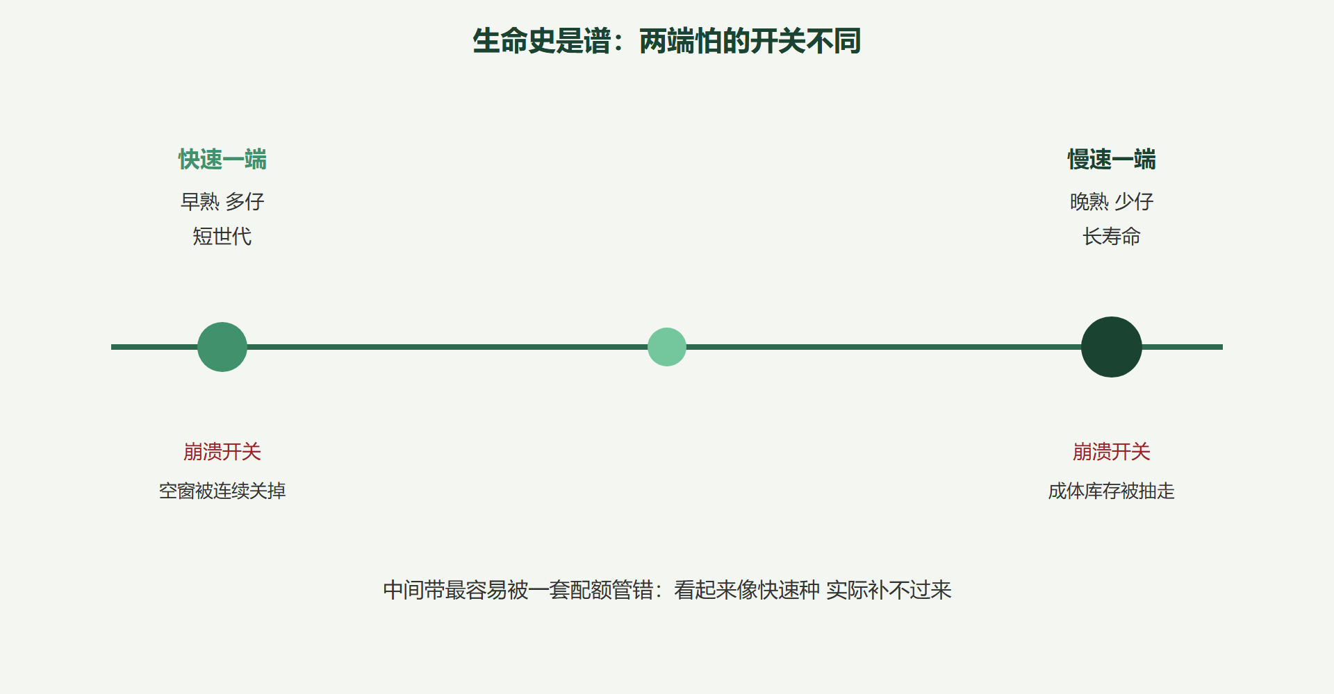 图 生命史谱与崩溃开关