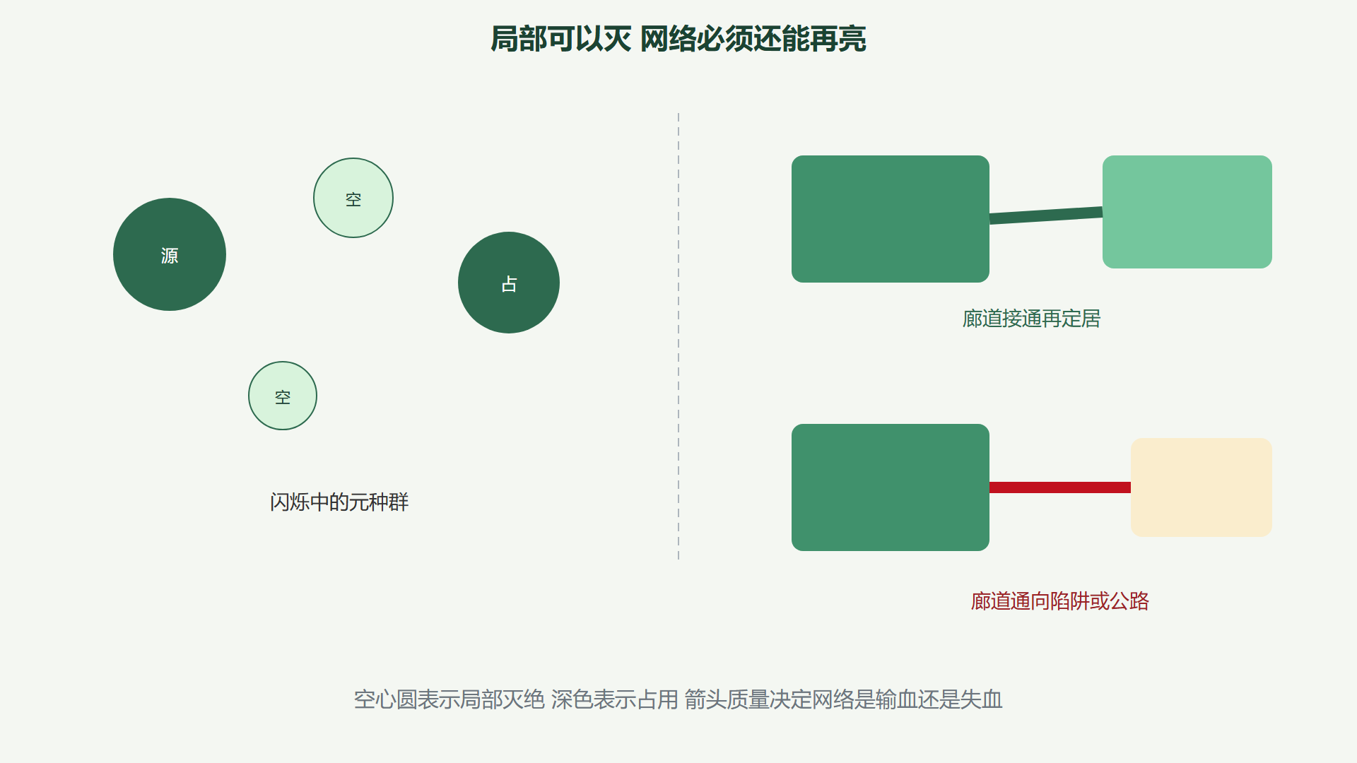 图 元种群闪烁与廊道两种结局