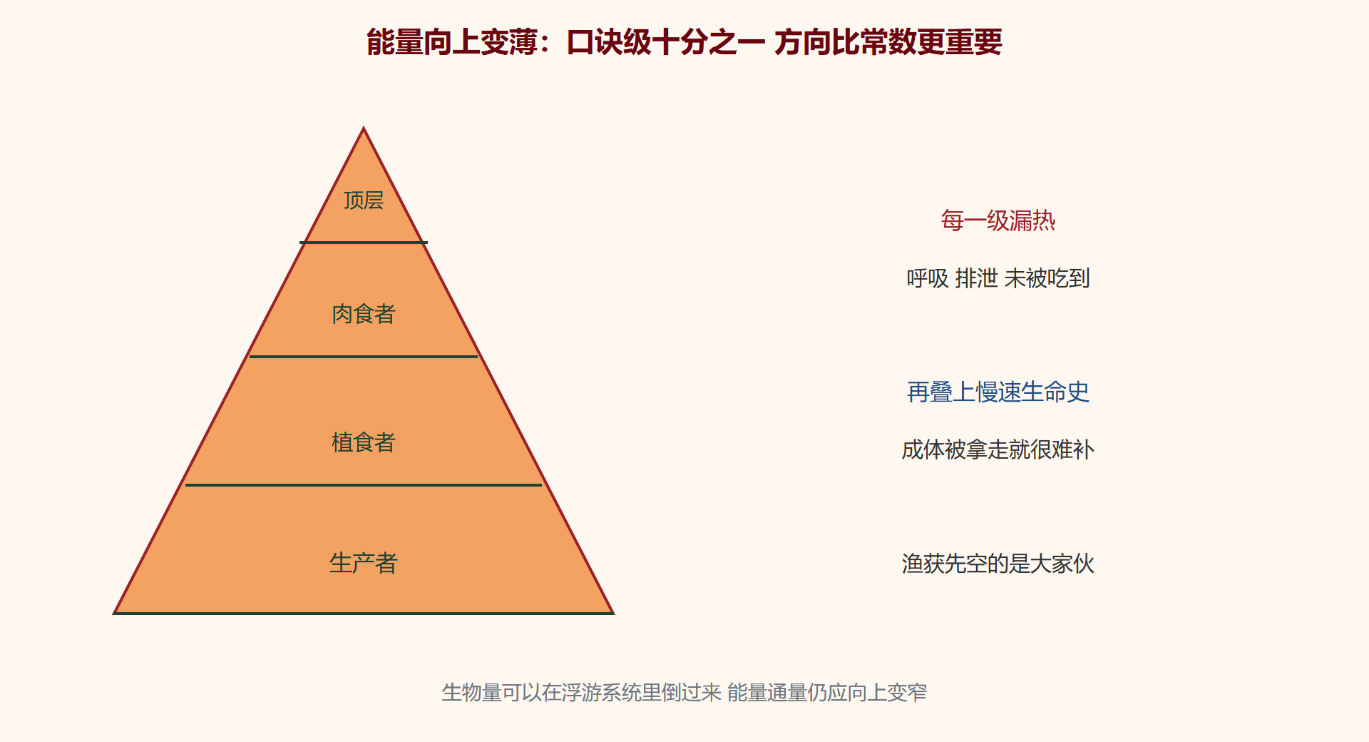 图 能量金字塔漏损
