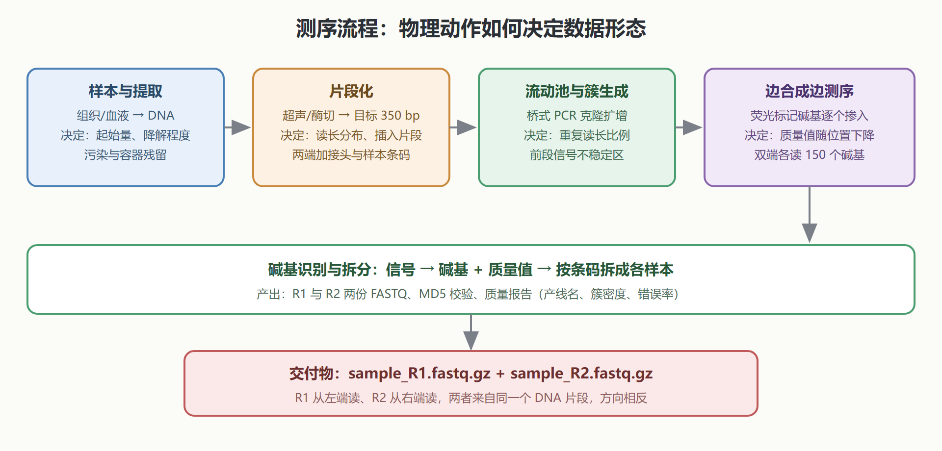 图：从样本到 FASTQ 的测序流程全景