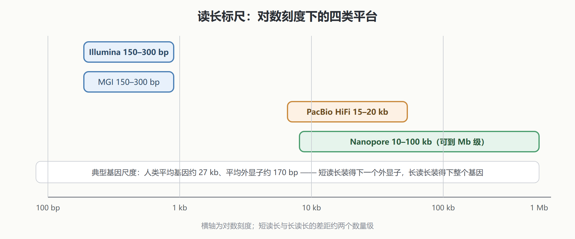 图：四类平台的读长标尺对照