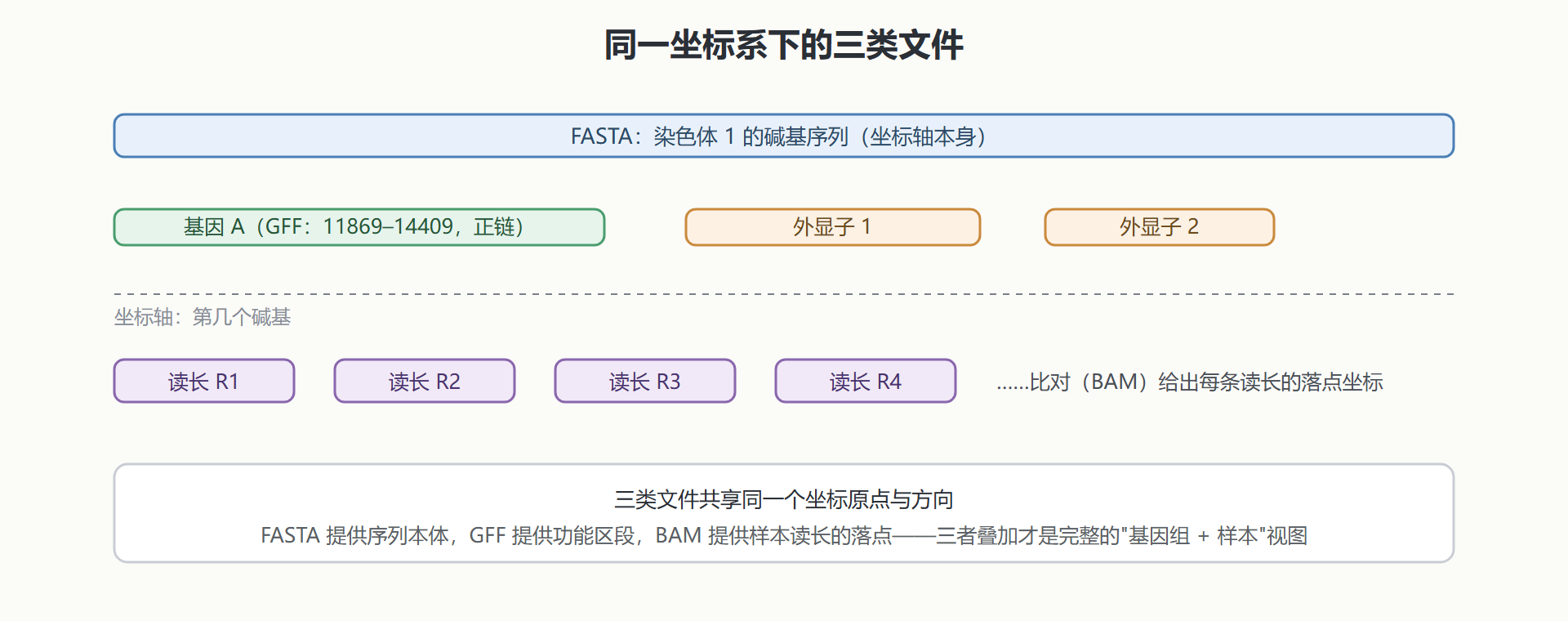 图：FASTA 序列、GFF 注释与比对结果的坐标对齐关系