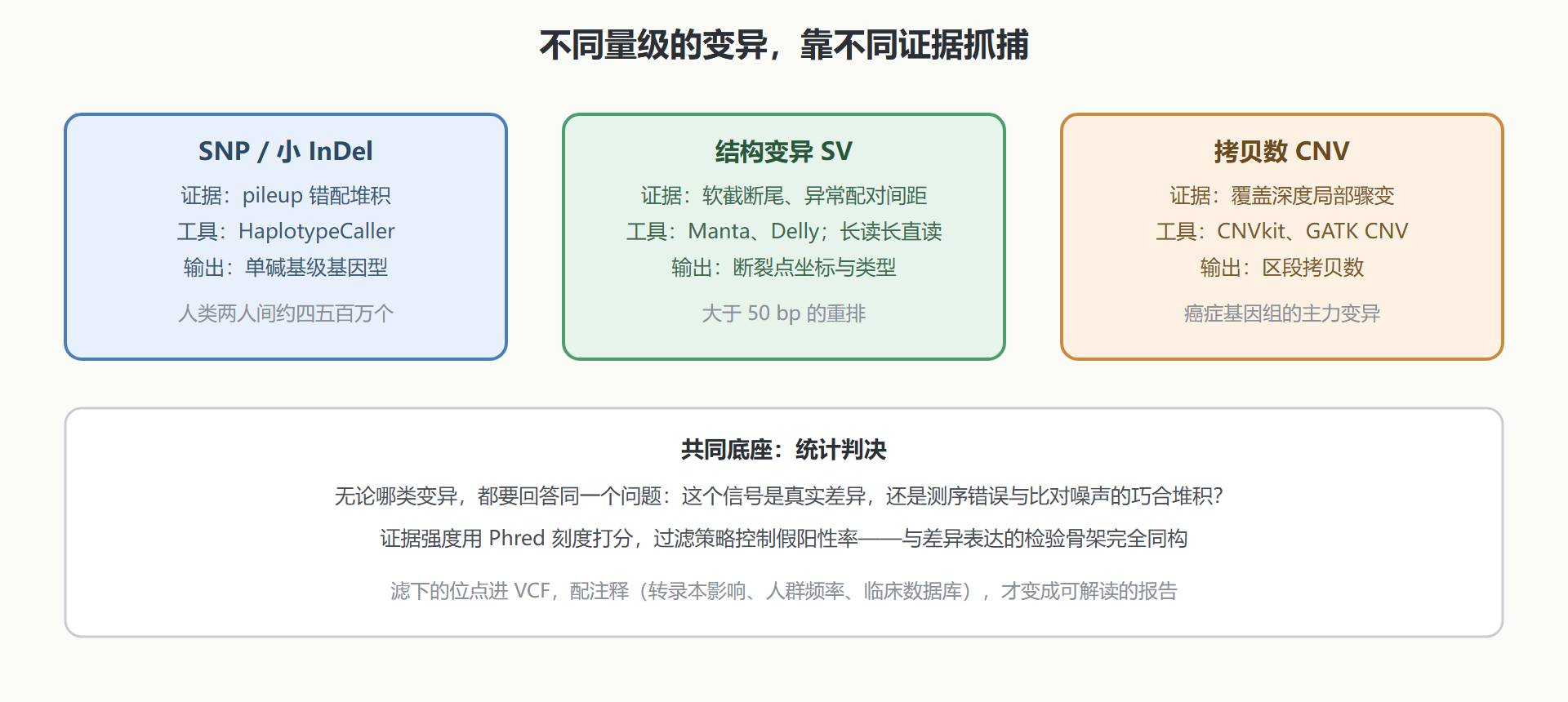 图：变异类型与对应检测证据