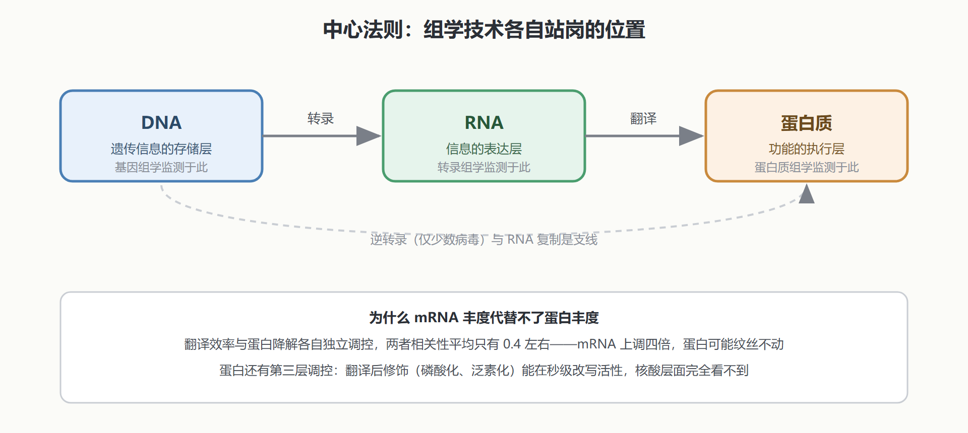 图：中心法则信息流与各组学的监测位置
