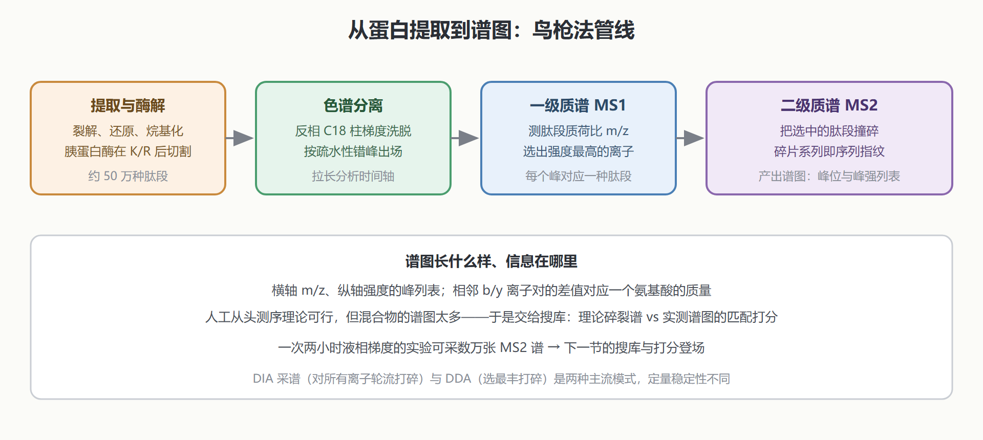 图:鸟枪法蛋白质组学的完整管线