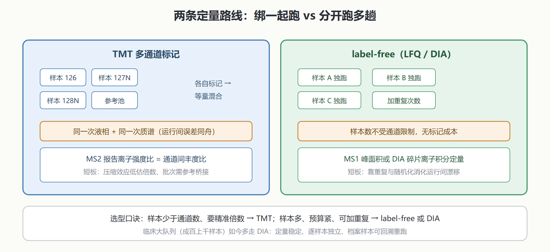 图:TMT 多通道标记与 label-free 定量路线对照