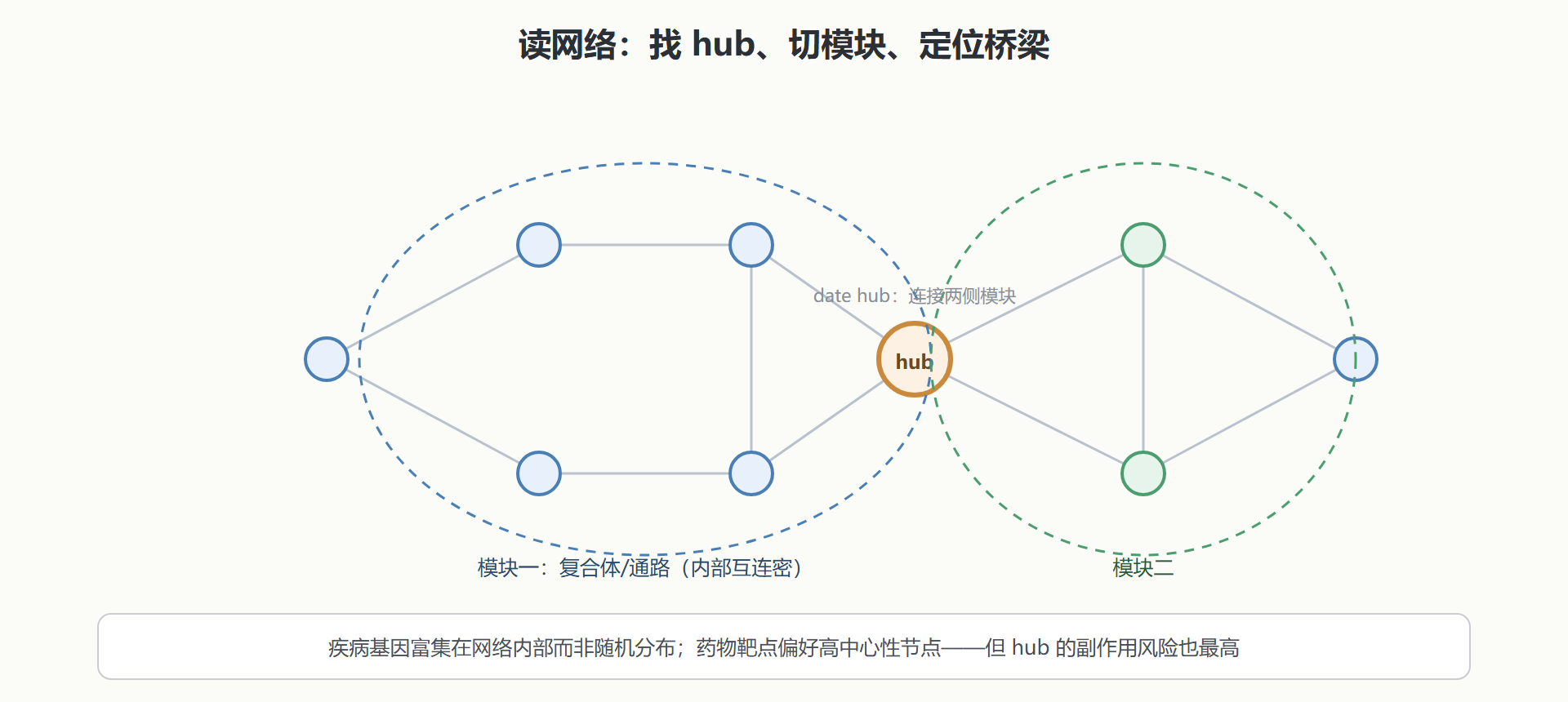 图:互作网络的结构视角——hub 与模块