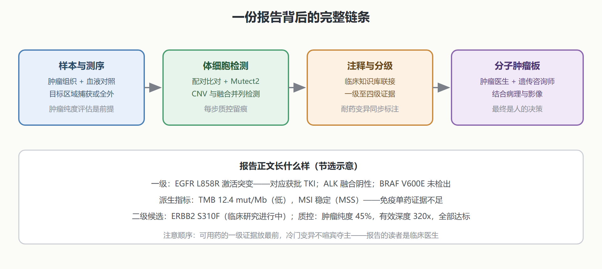 图：从肿瘤样本到临床报告的证据链