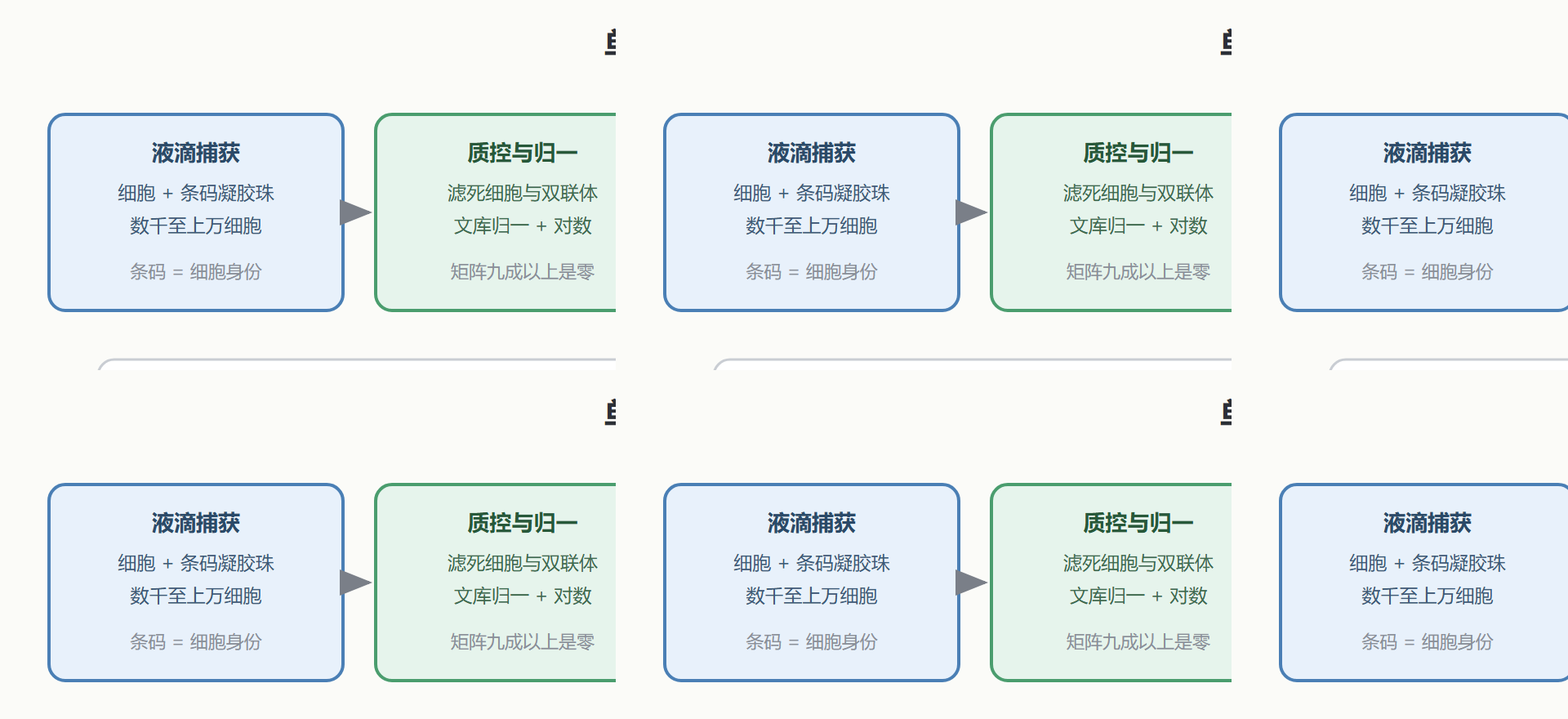 图：从组织到细胞图谱的流程与 UMAP 读法