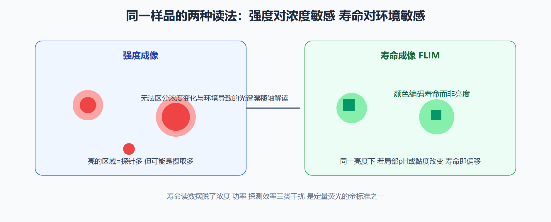 图 2-2 强度像与寿命像看见的是不同的世界