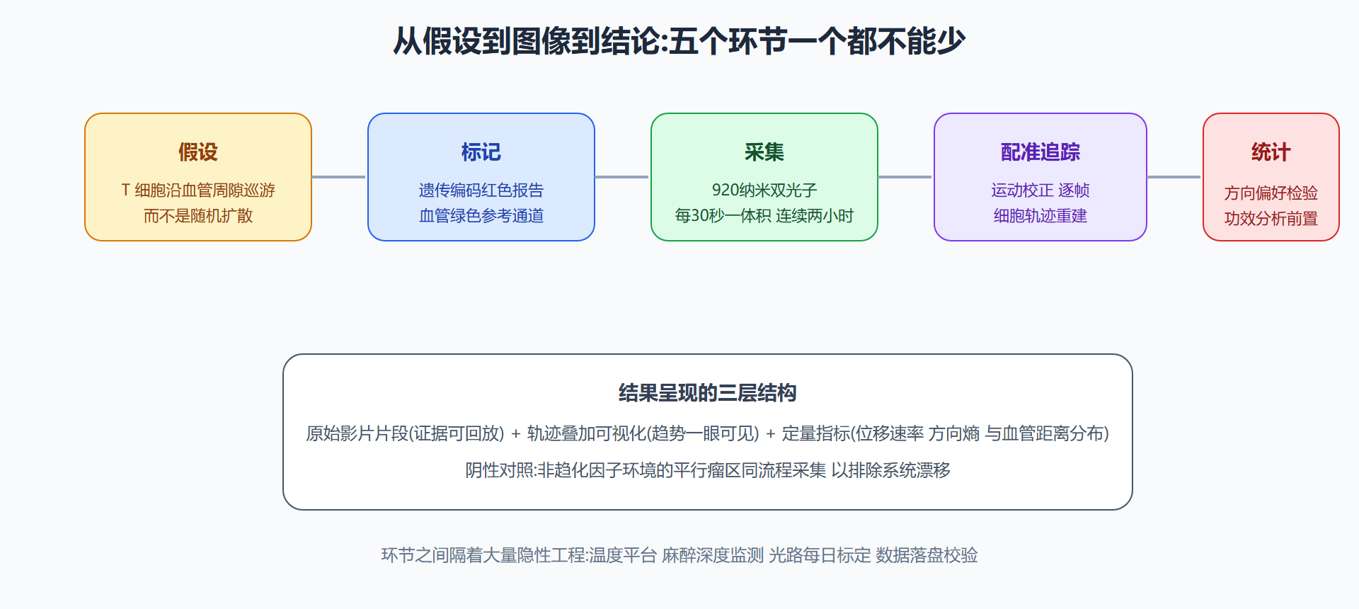 图 5-1 一个免疫迁移课题的完整实验闭环