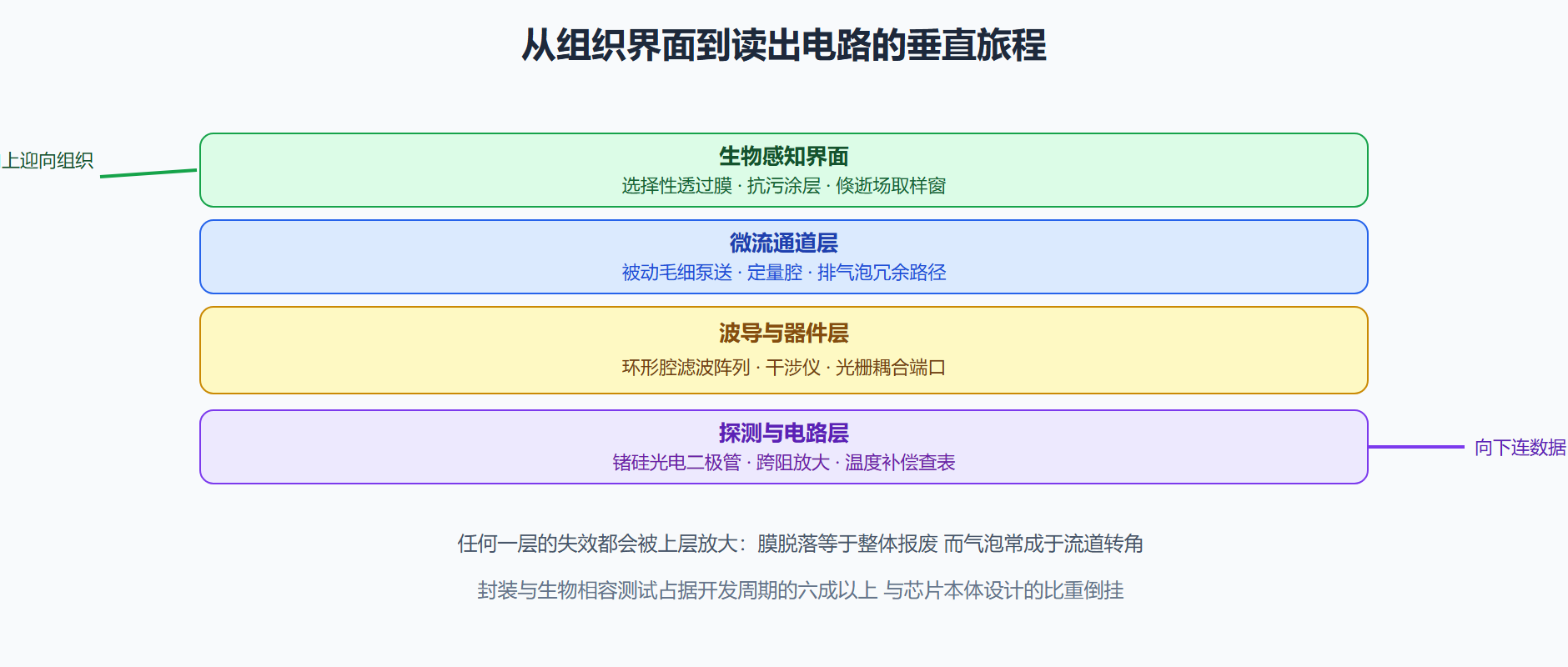 图 7-2 一颗植入式光子传感芯片的剖面层级