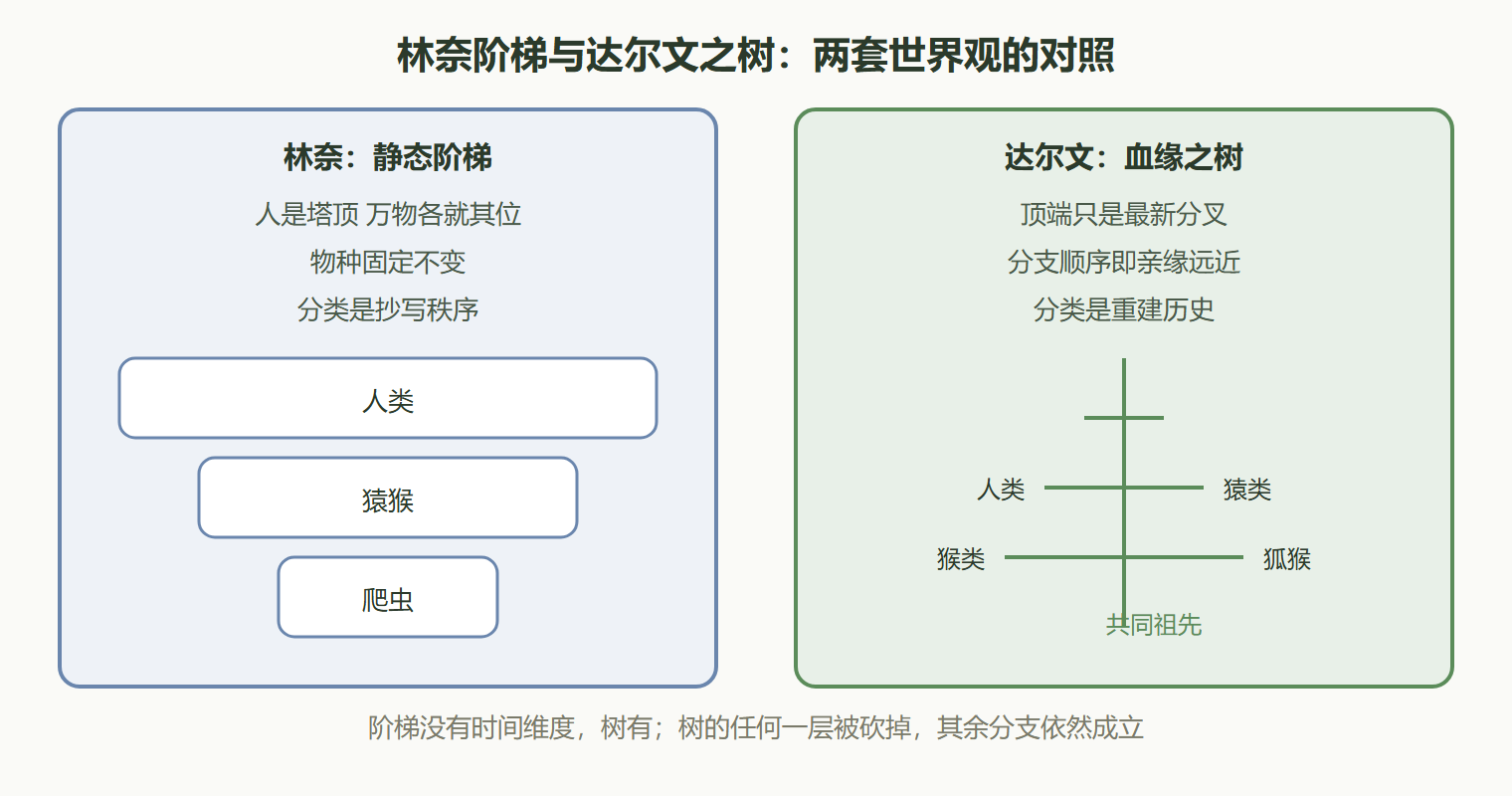 02-03-fig01