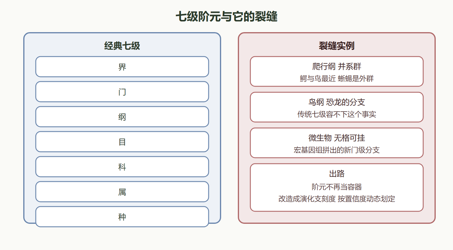三、经典七级之外：补充阶元的精度插槽