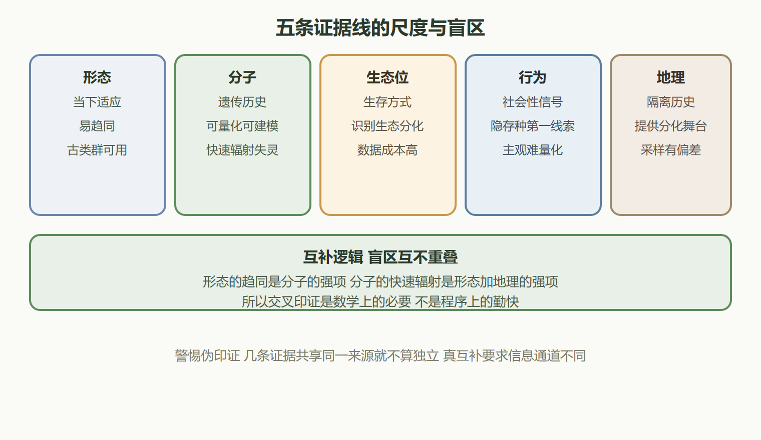 二、证据的互补逻辑