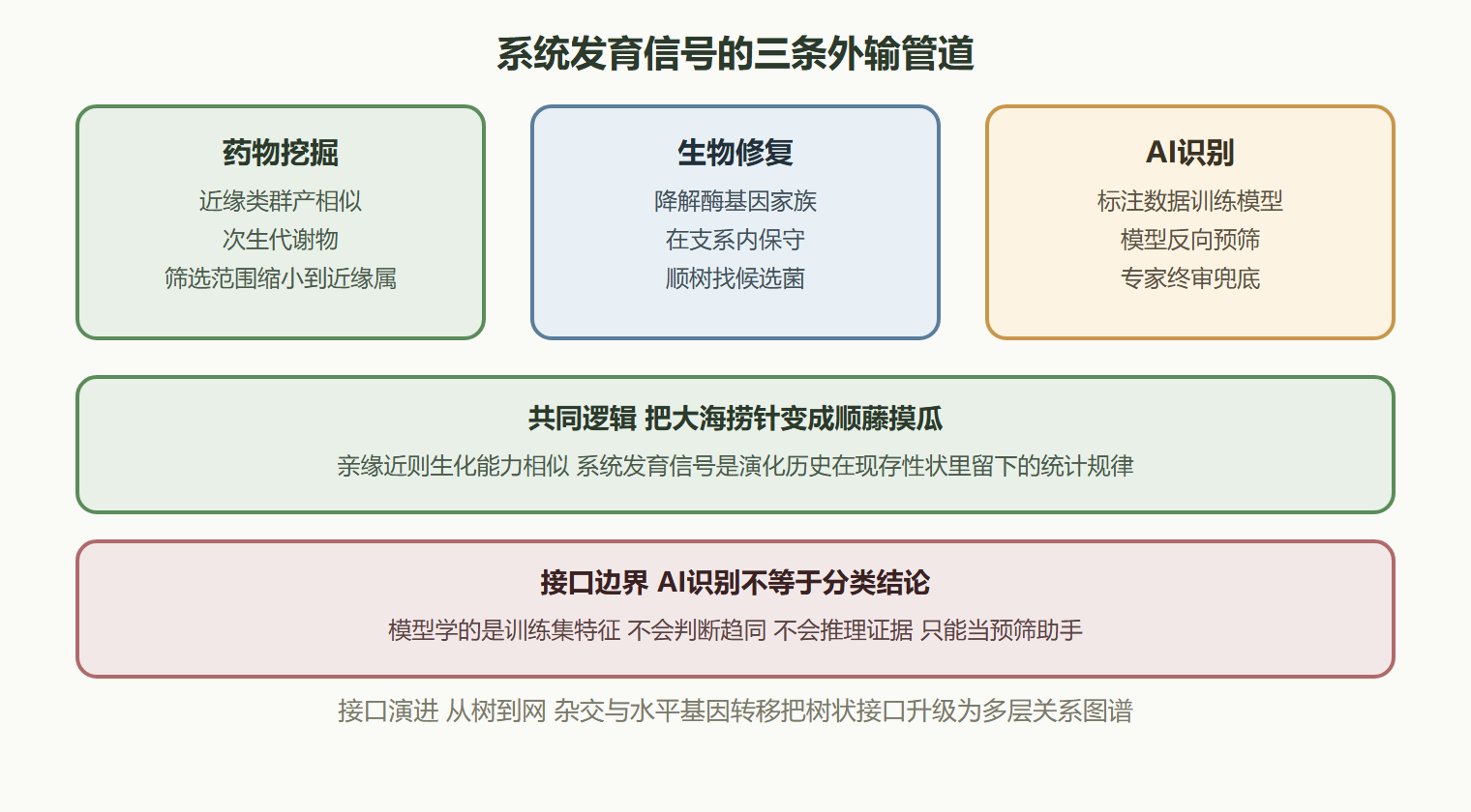 三、从"树"到"网":跨学科接口的拓扑演进