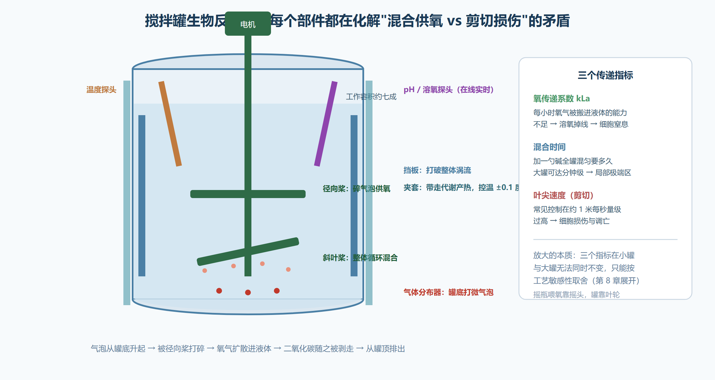 图：搅拌罐生物反应器剖面解剖