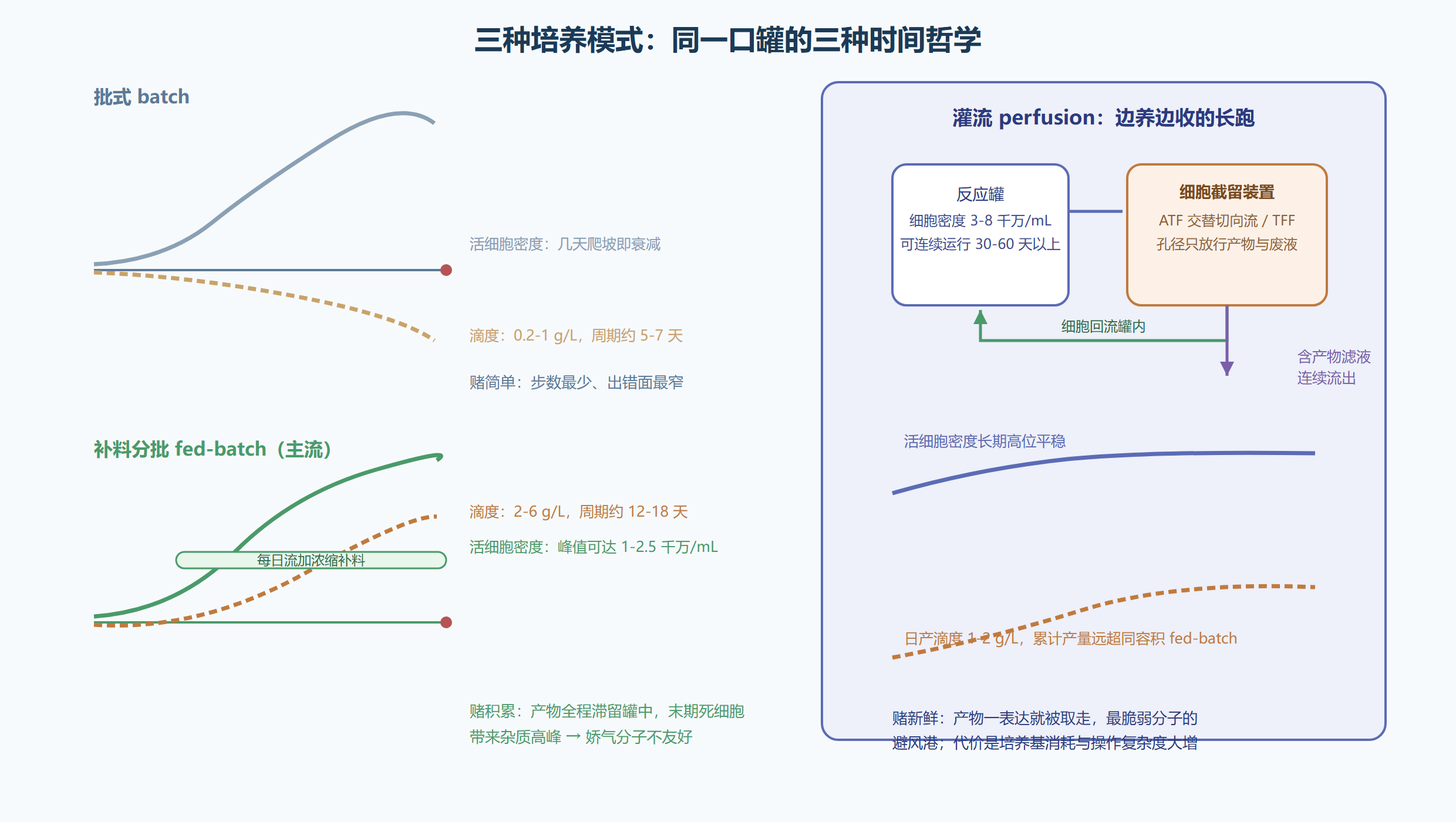 图：批式、补料分批与灌流对照