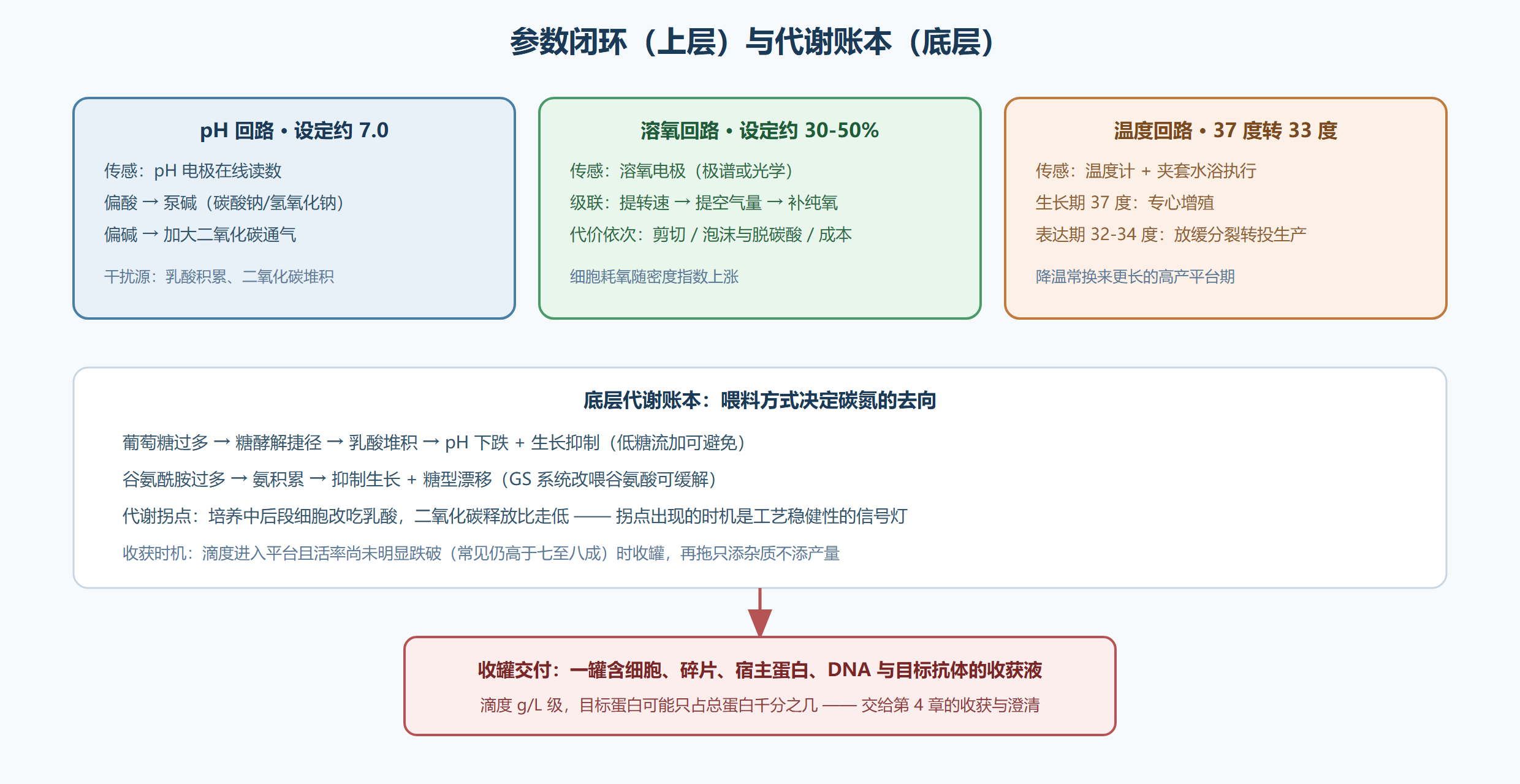 图:培养参数控制回路与代谢因果