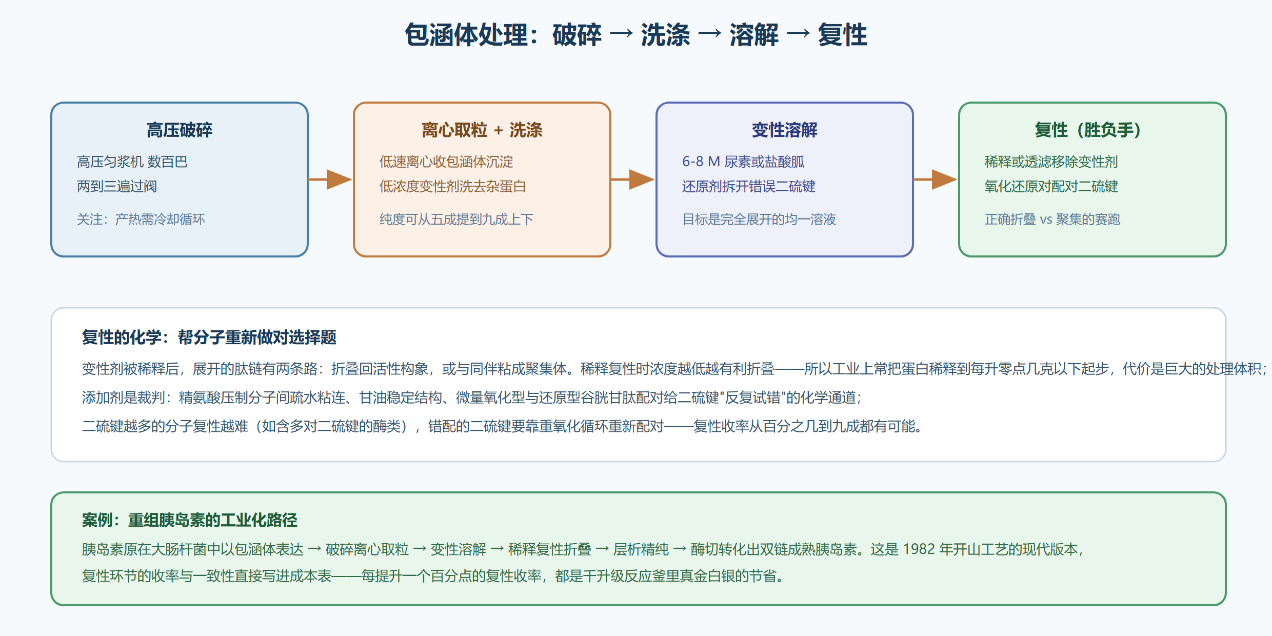 图:包涵体处理四步法