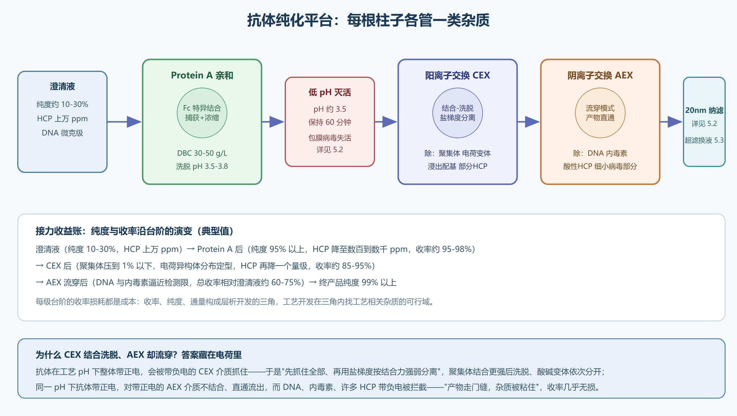 图：抗体纯化平台的层析接力