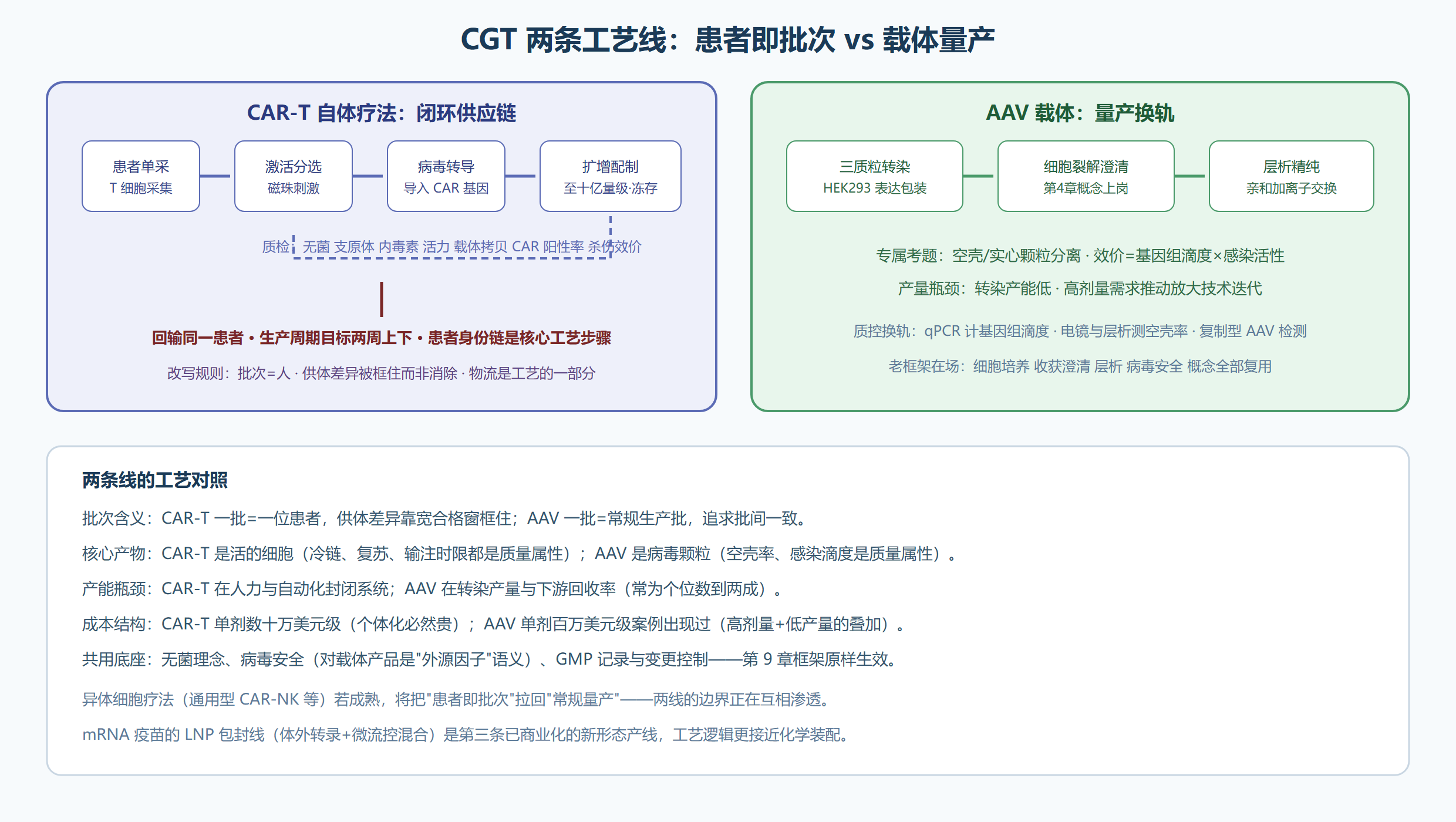 图:CAR-T 与 AAV 的两条工艺线