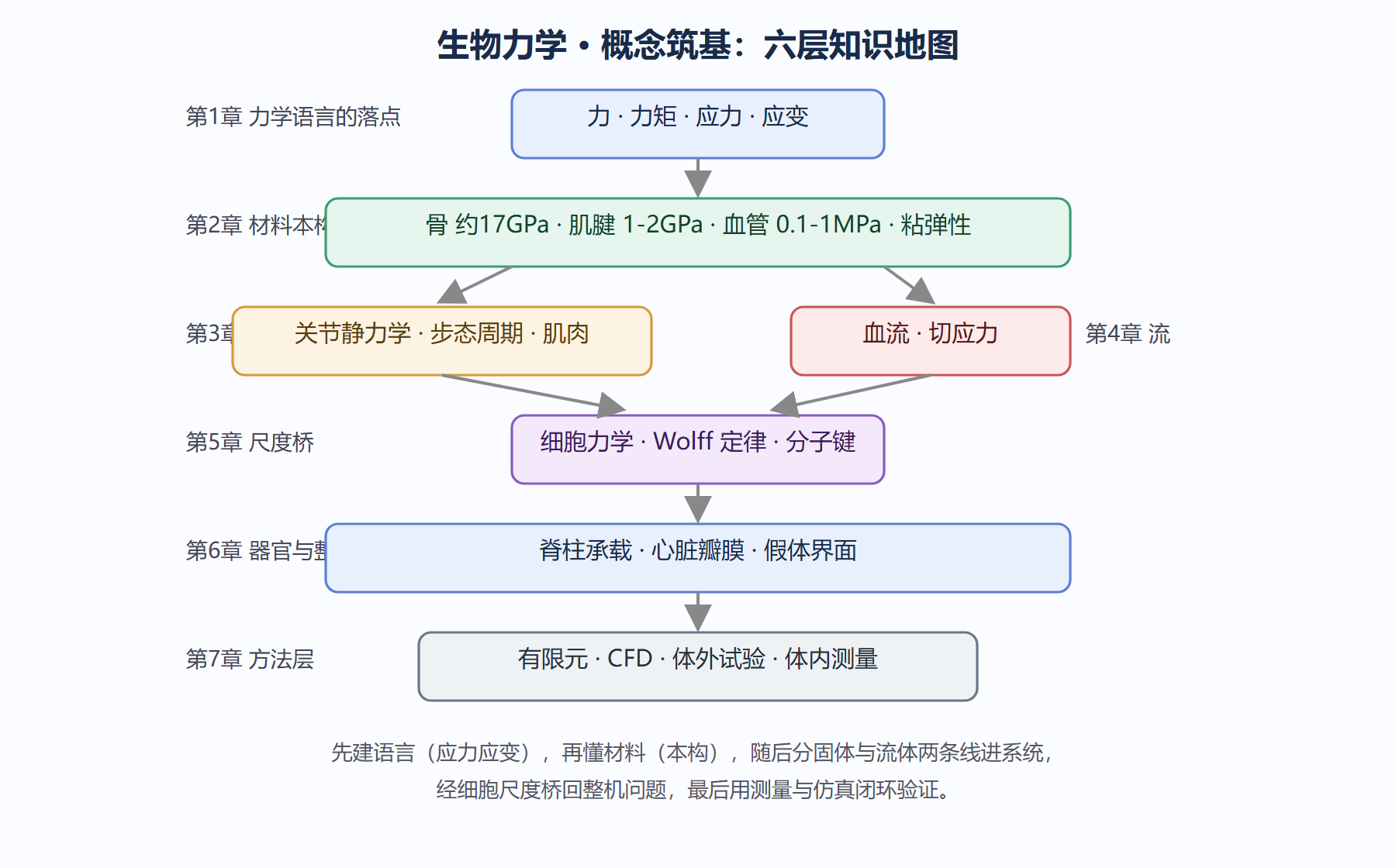 图：全册知识地图与学习依赖