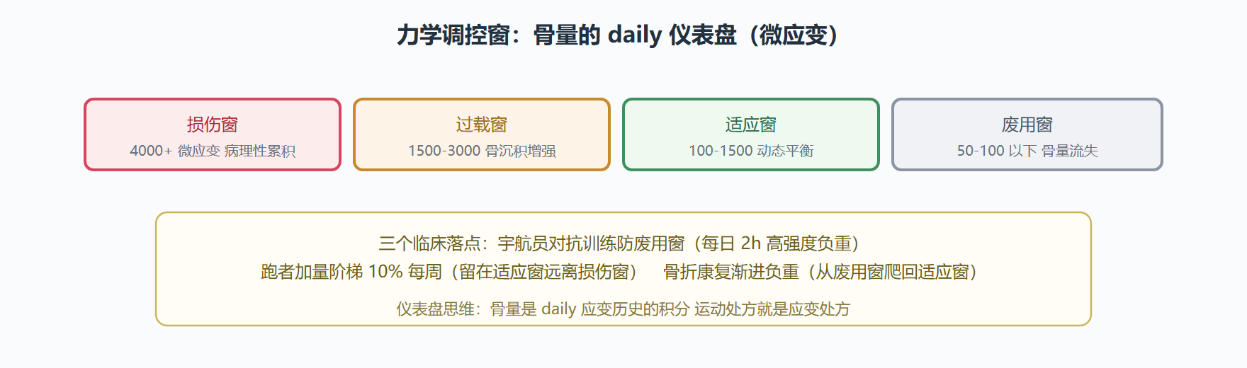 图：从微应变读骨健康的仪表盘
