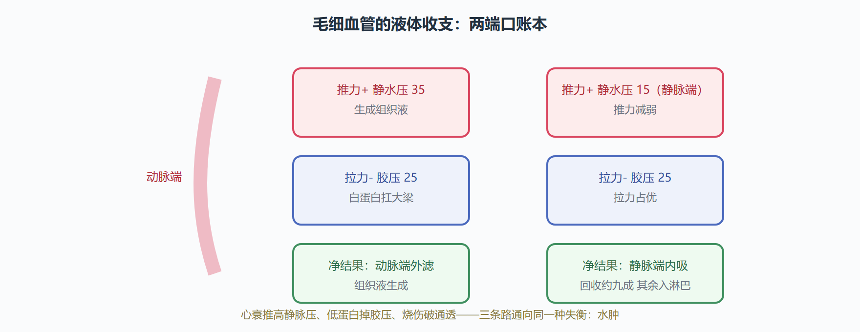 图：Starling 四力的收支账本