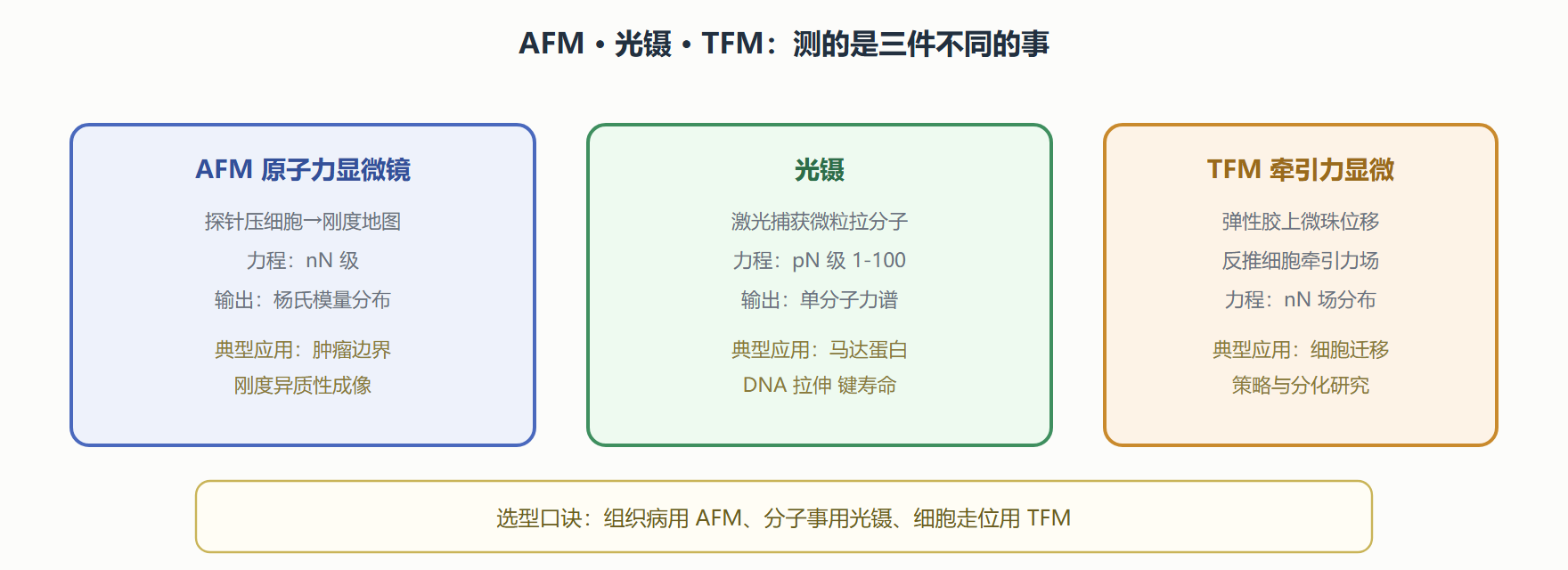 图：单细胞力学测量的三权分立