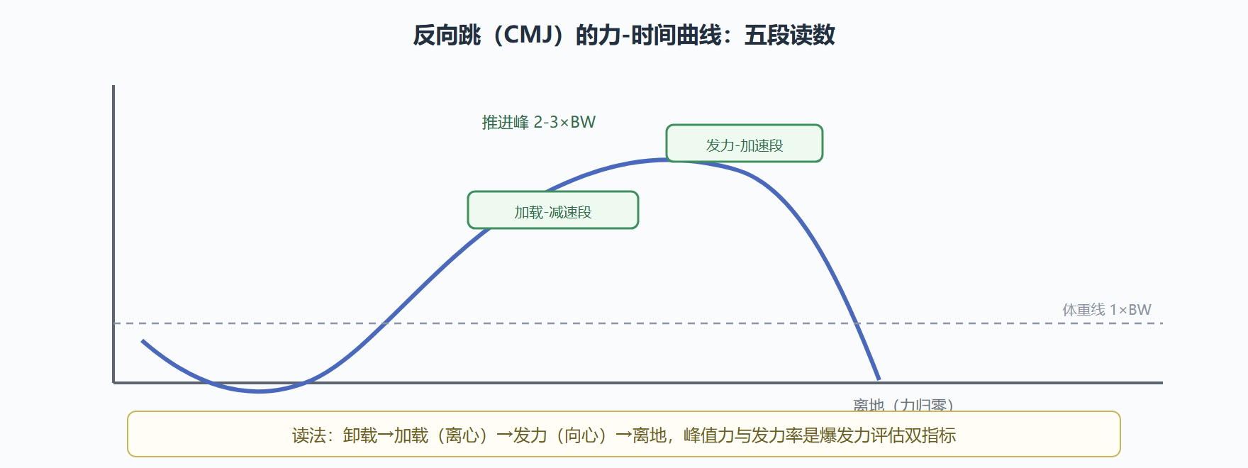 图:垂直跳的地面反作用力曲线解剖