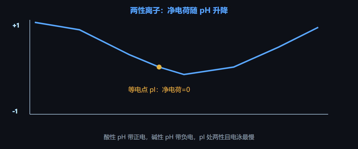 图 2-1 氨基酸净电荷随 pH 变化