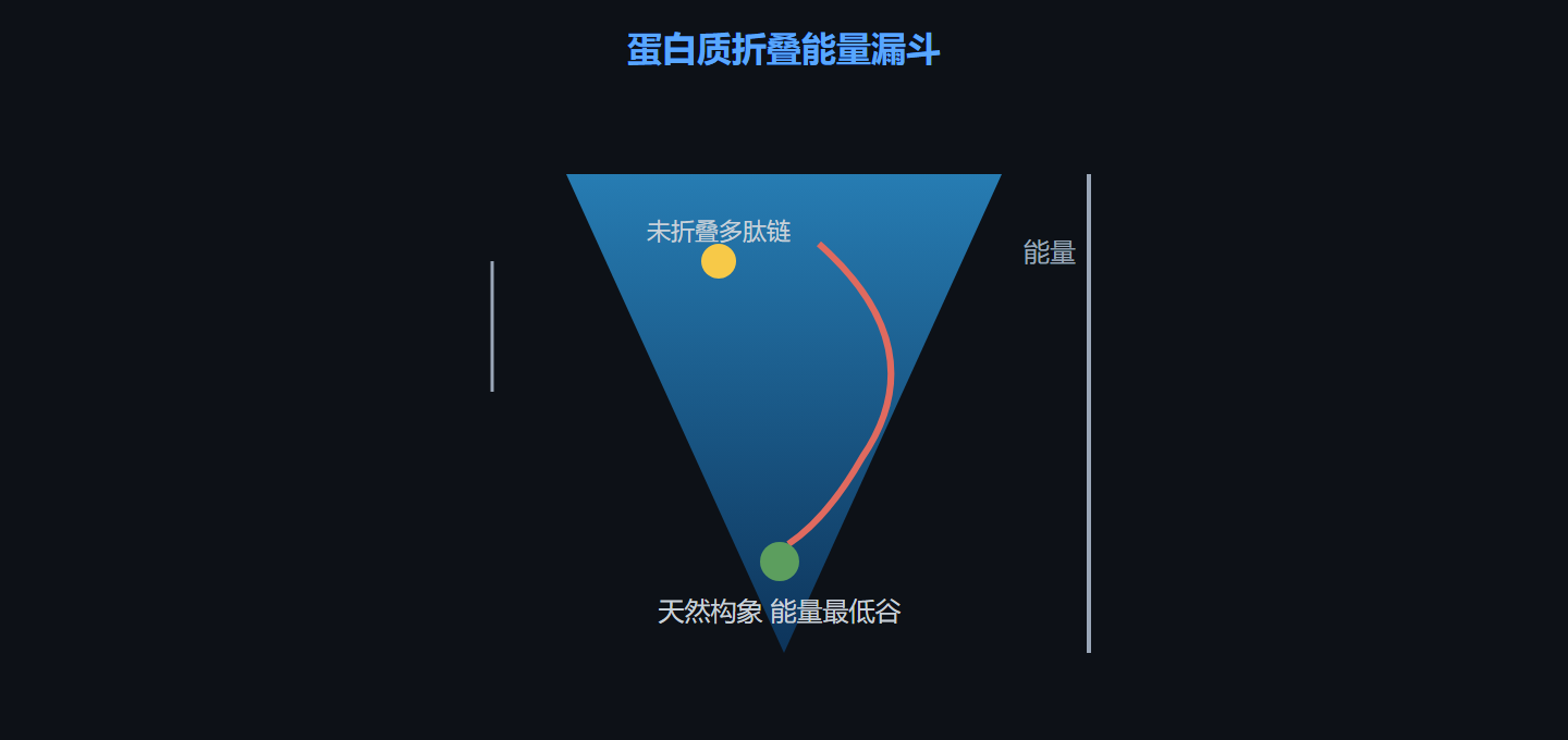 图 2-1 蛋白质折叠漏斗