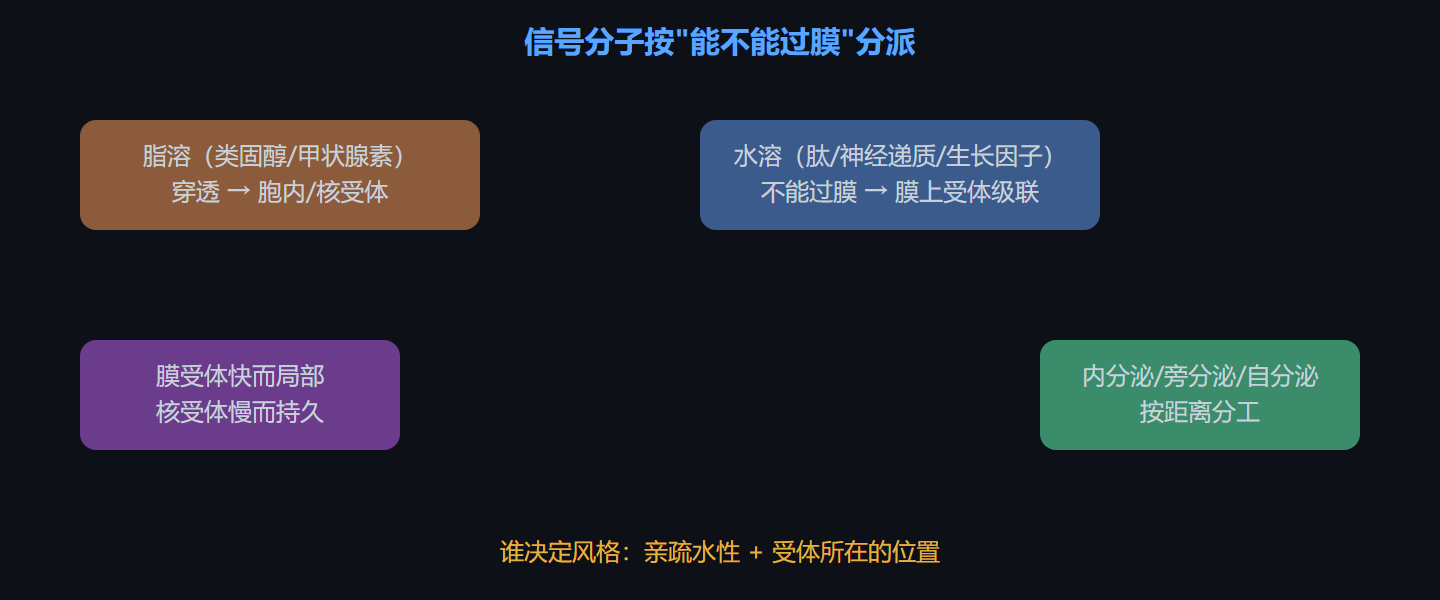图 7-1 信号传递的类型与受体位置