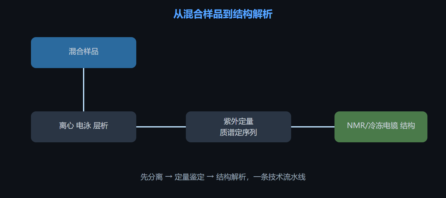 图 8-1 分离到鉴定的流程