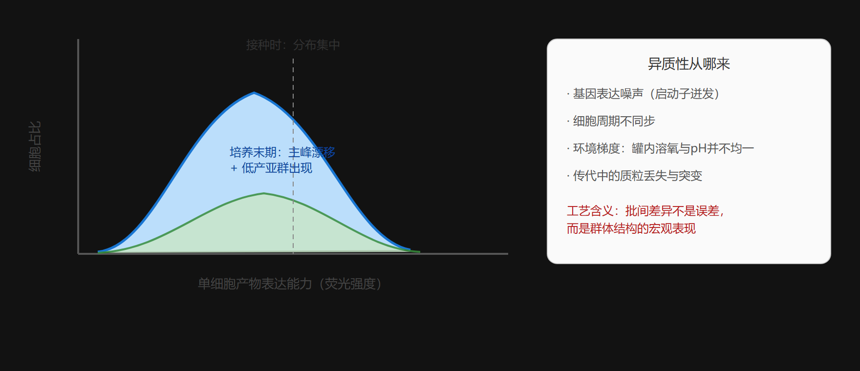 同一批培养中的表型异质性分布