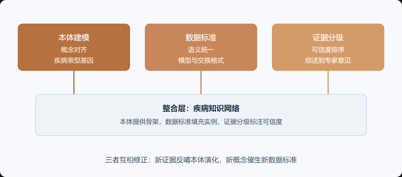 图:三大支柱的协同运转
