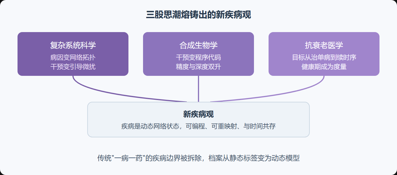 图:三股思潮如何汇入新疾病观