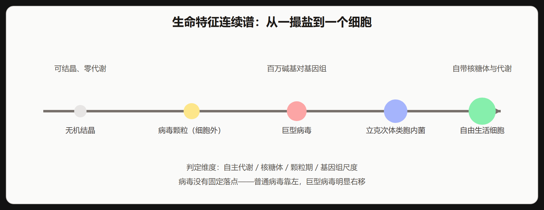 巨型病毒:边界被从另一头撬开