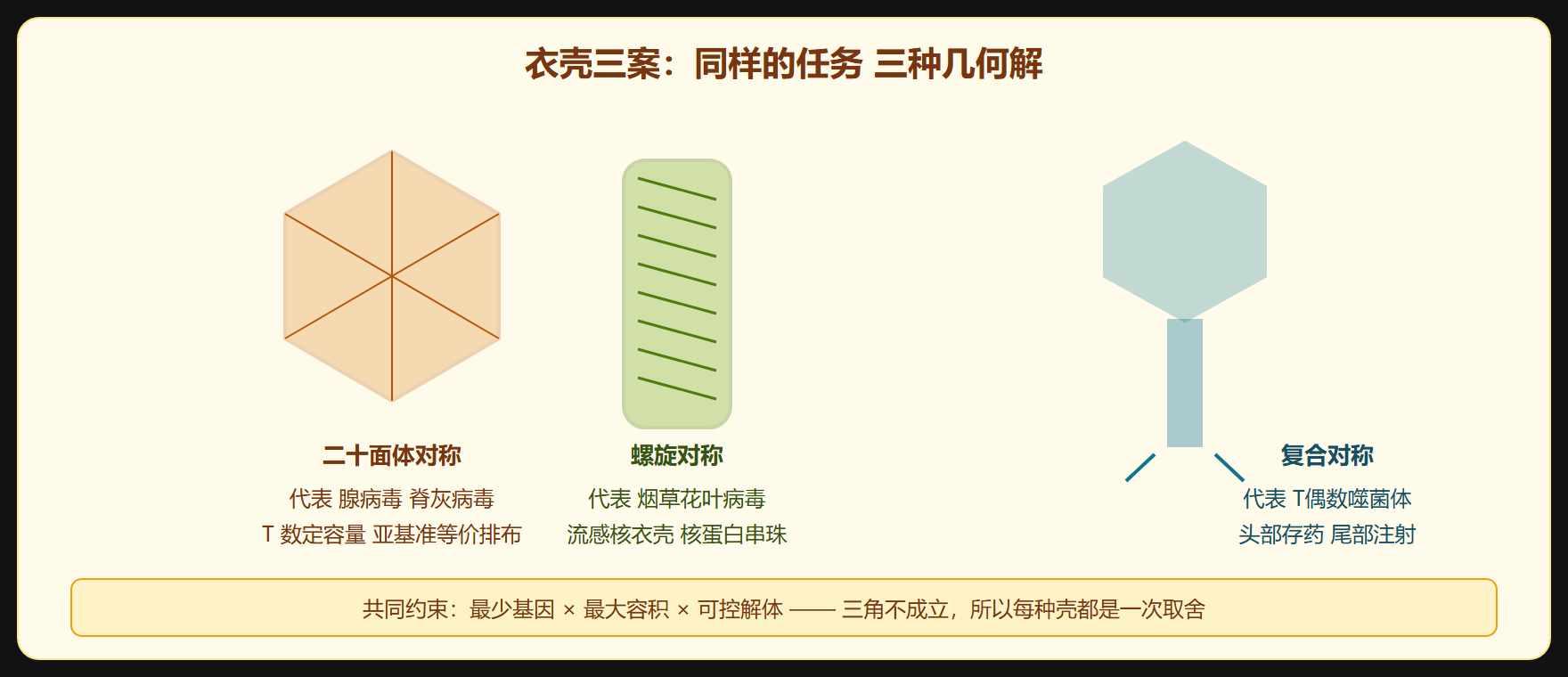 稳定性的交易账本