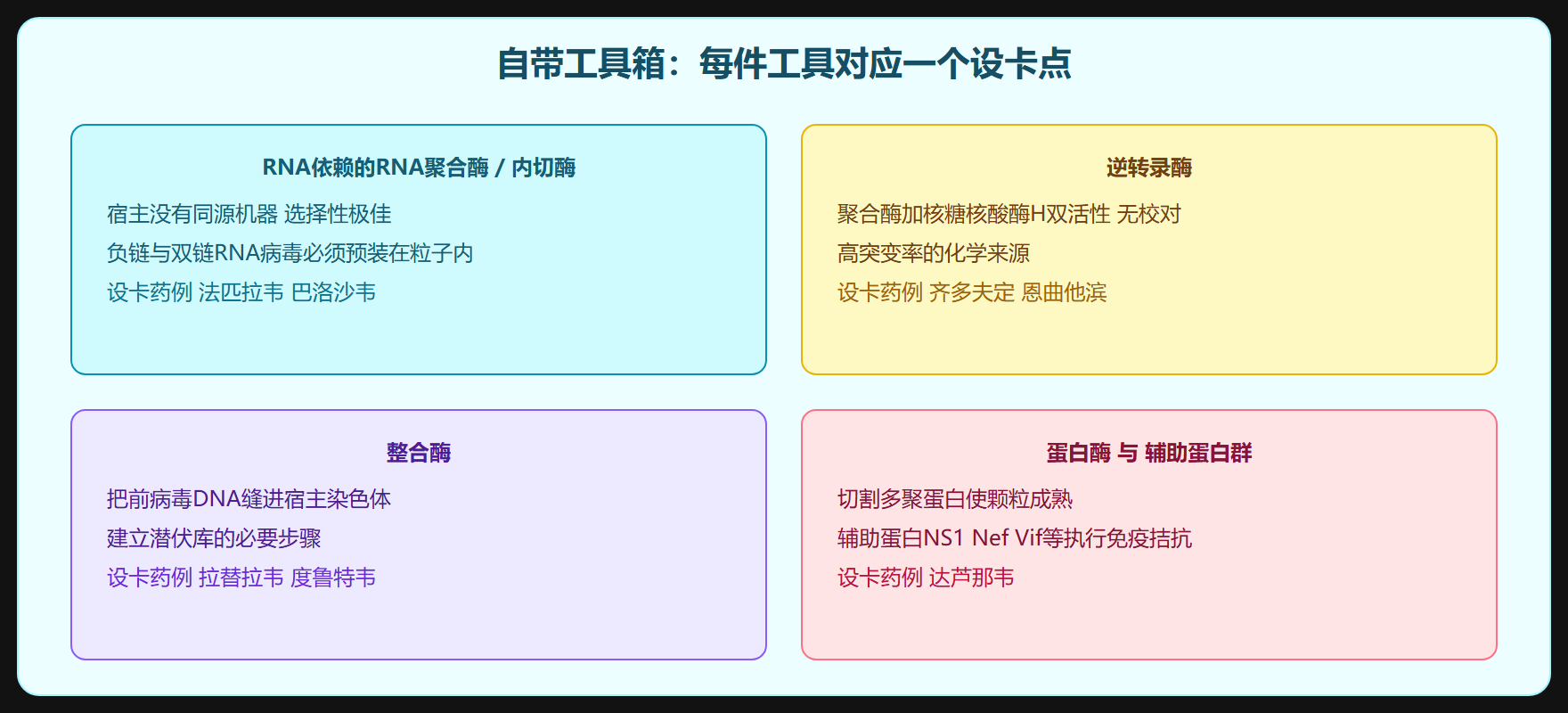 辅助蛋白：小角色大权柄