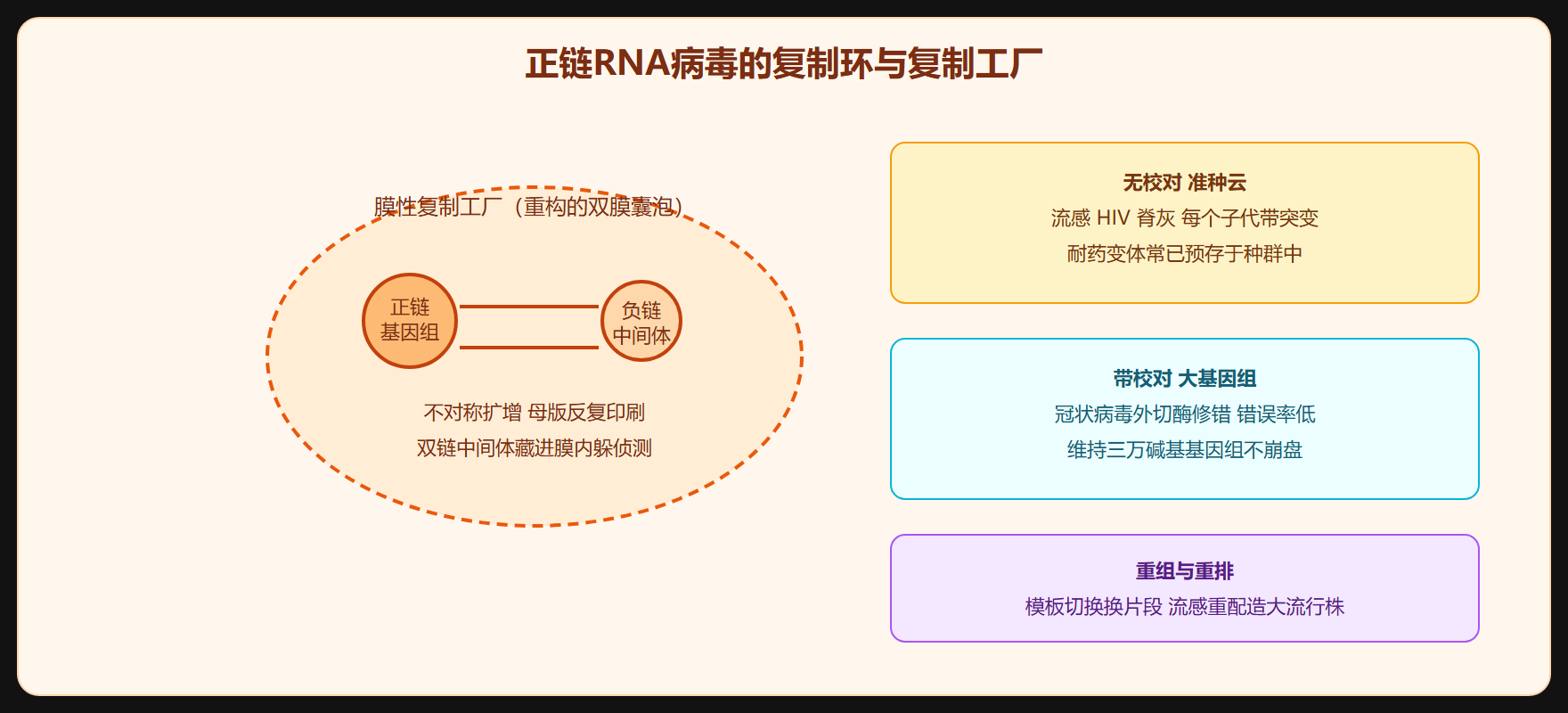 出错的生意：突变、校对与重组