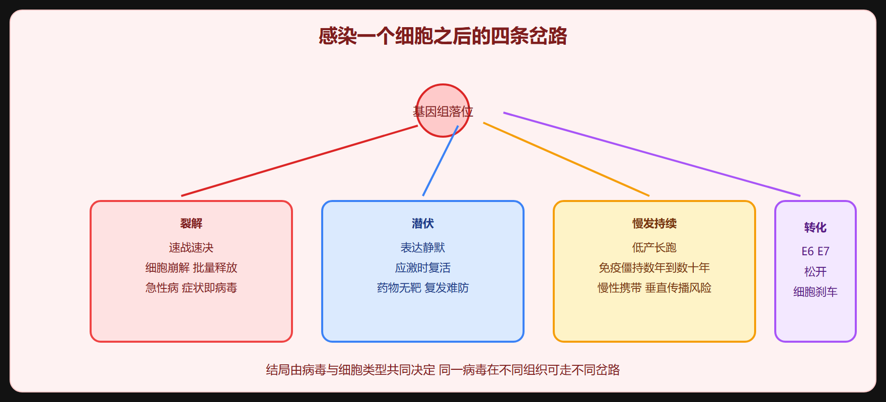 慢发与转化的两条岔路