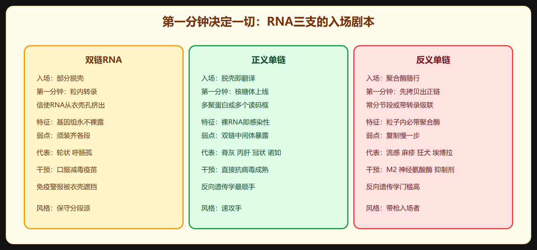 反义单链 RNA：带枪入场的几大家族