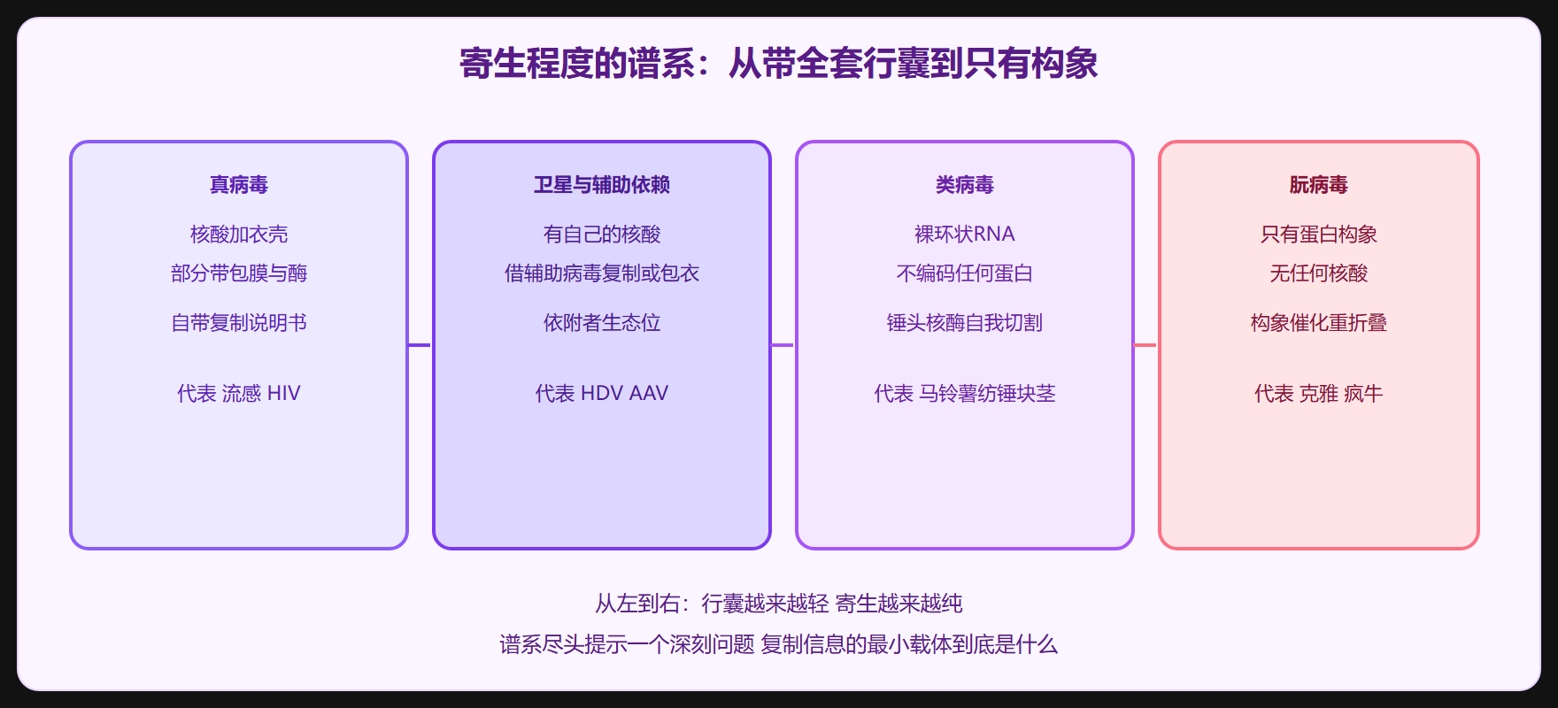 朊病毒：信息完全脱离核酸