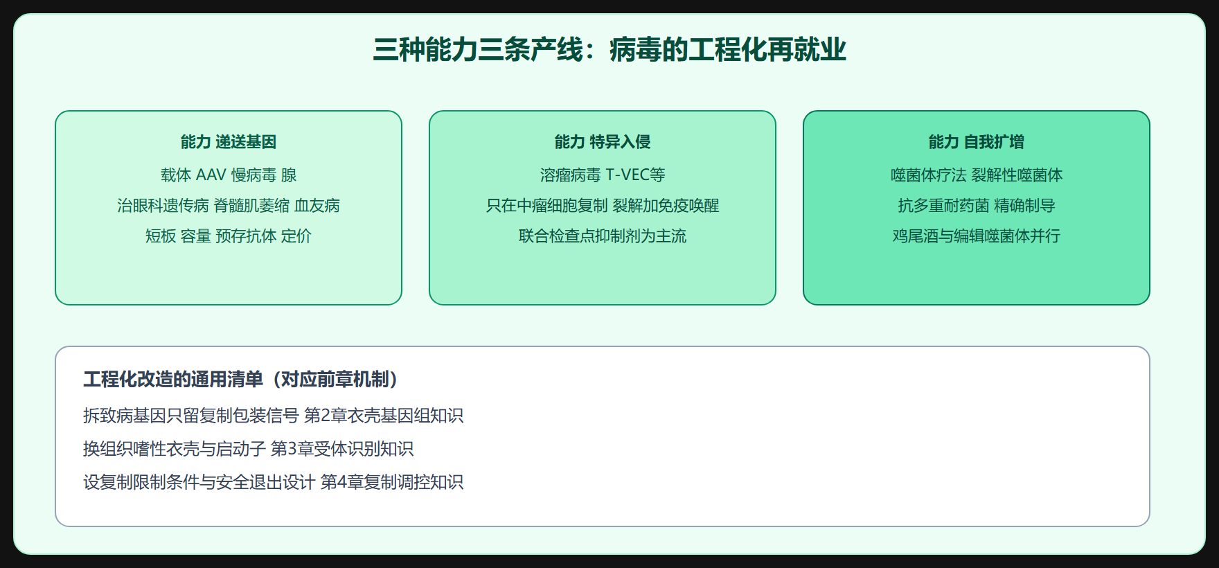 噬菌体疗法:抗生素的百年备胎回归