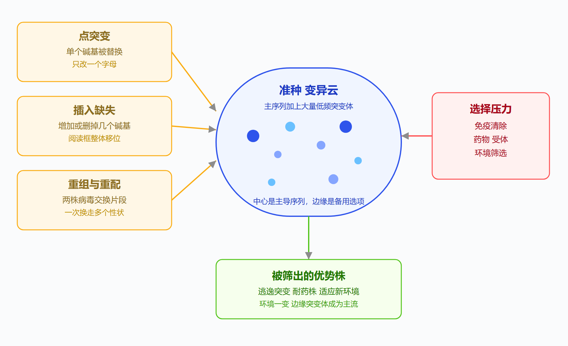 图：突变类型与演化驱动力示意