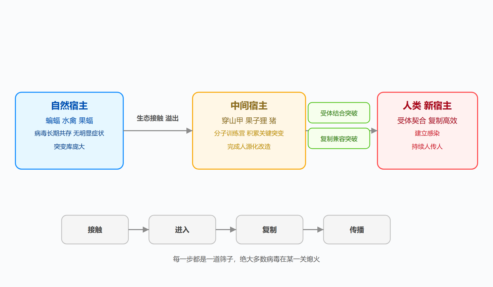 图:宿主跃迁路径