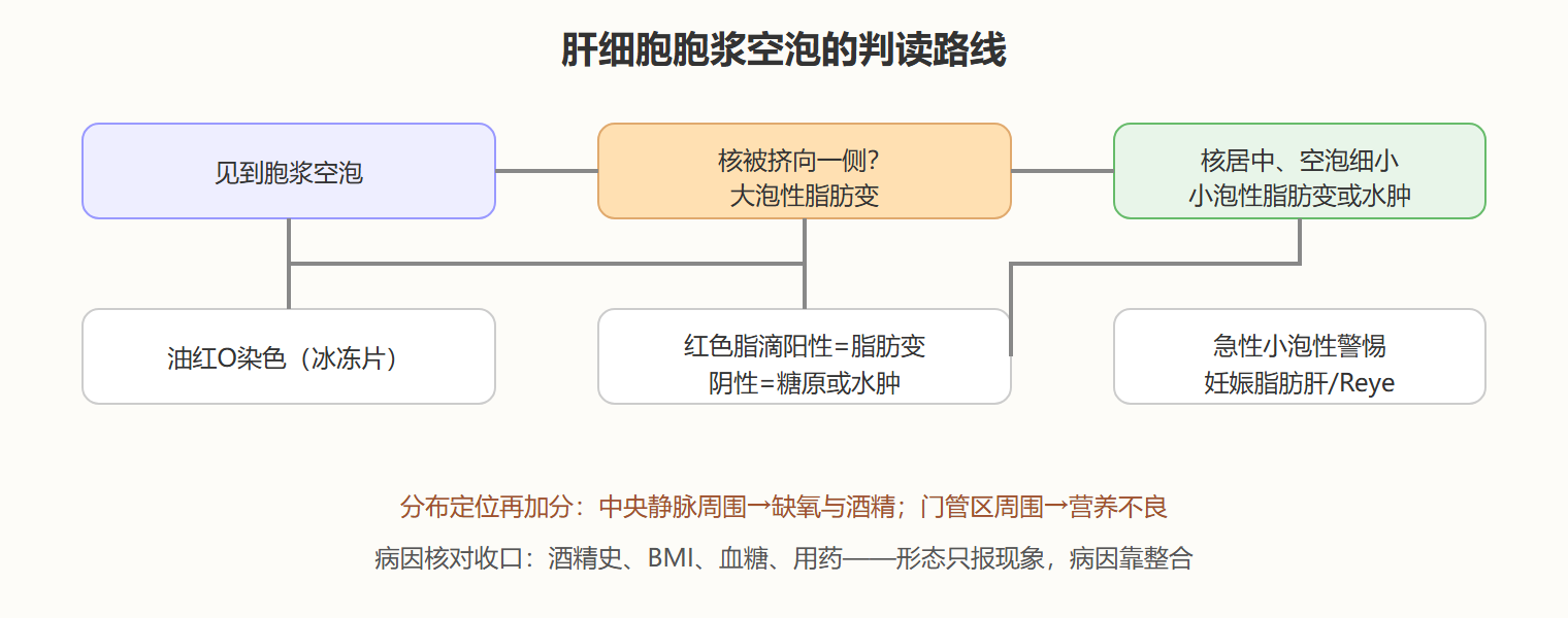 回到心脏：教训与变式